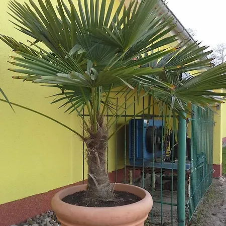 Strandidyll 9 * Ückeritz